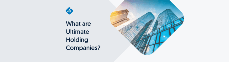 What Are Ultimate Holding Companies 2022 Update Lawpath