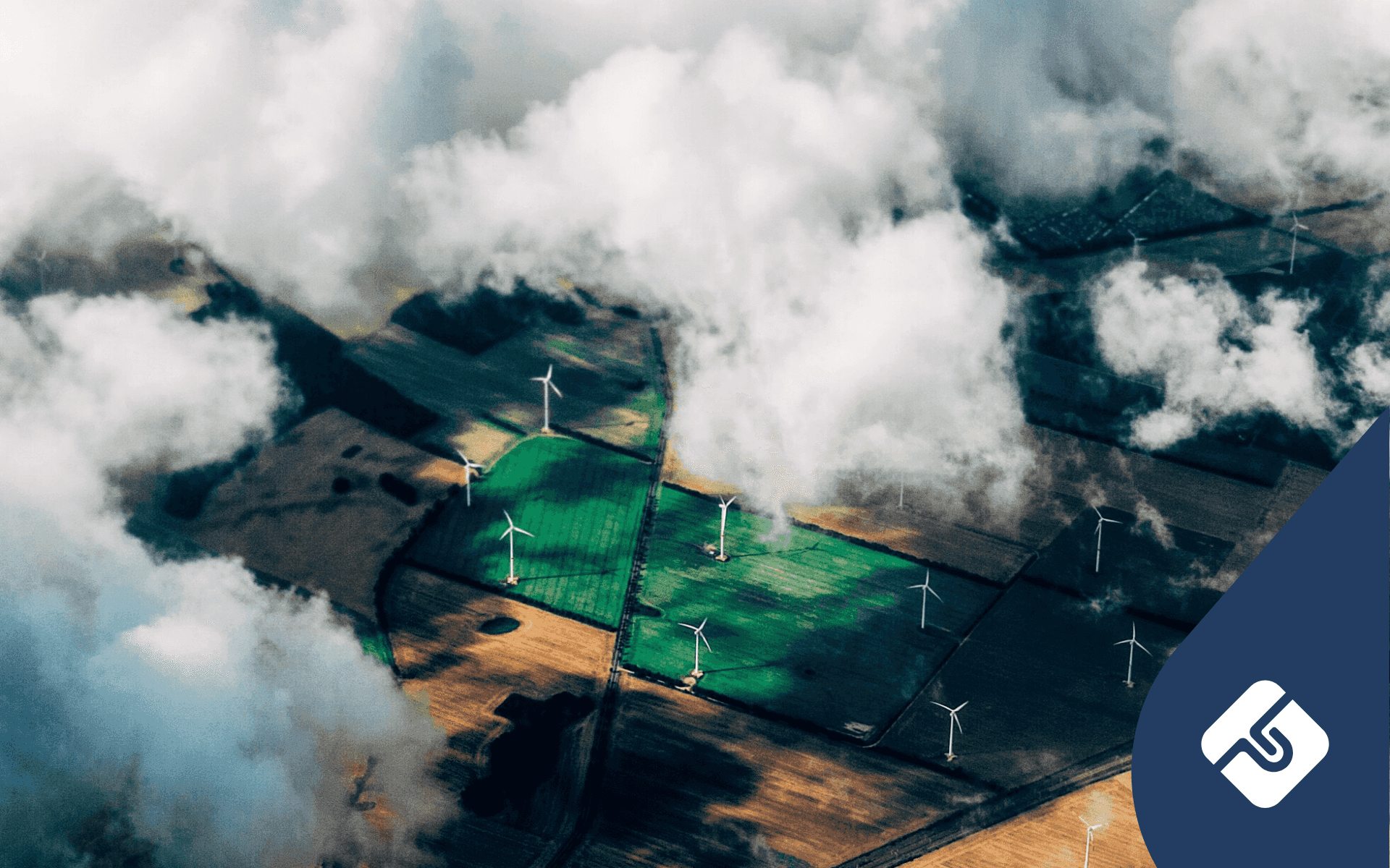 What Is An Environmental Policy?