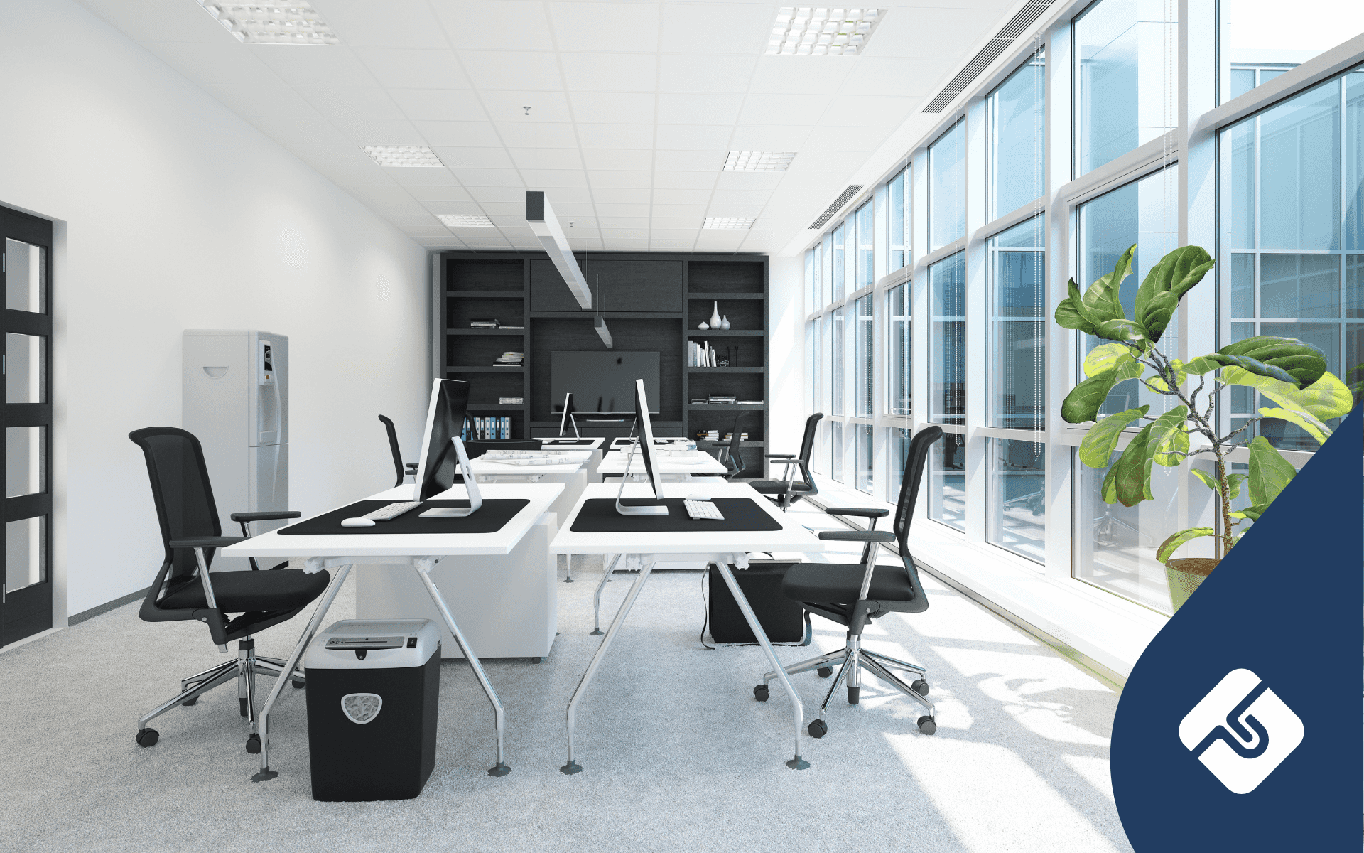 Can Directors Borrow Money From Their Company?