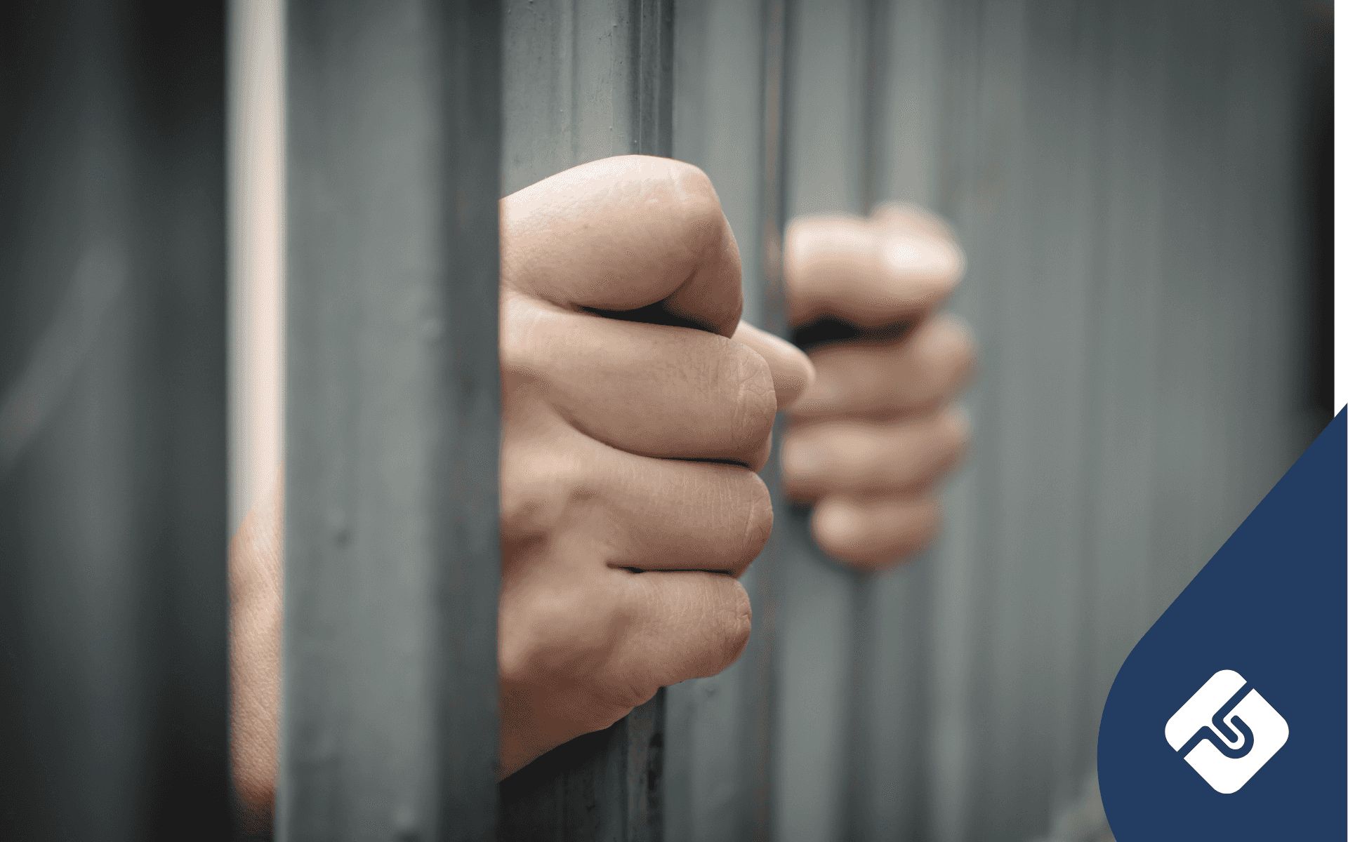 Blogger Jailed for Contempt in Network 7 Case