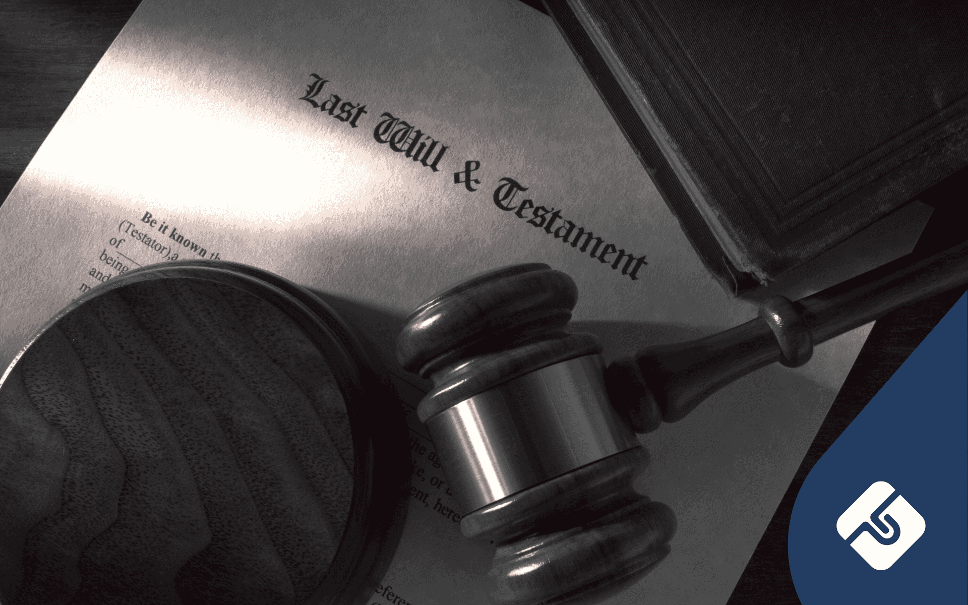 Will vs Living Will: Key Differences