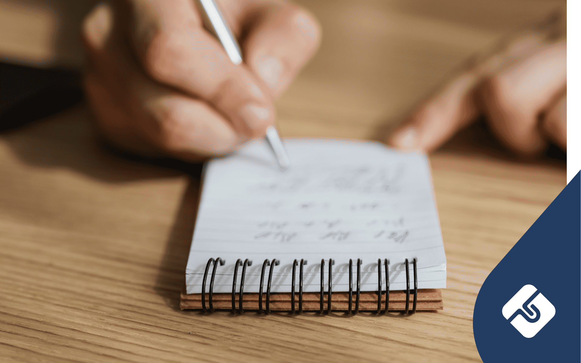 Pest Inspection Checklist Before Purchase – Part 2